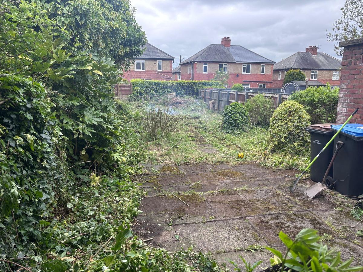 Before: overgrown back garden with ivy and long grass