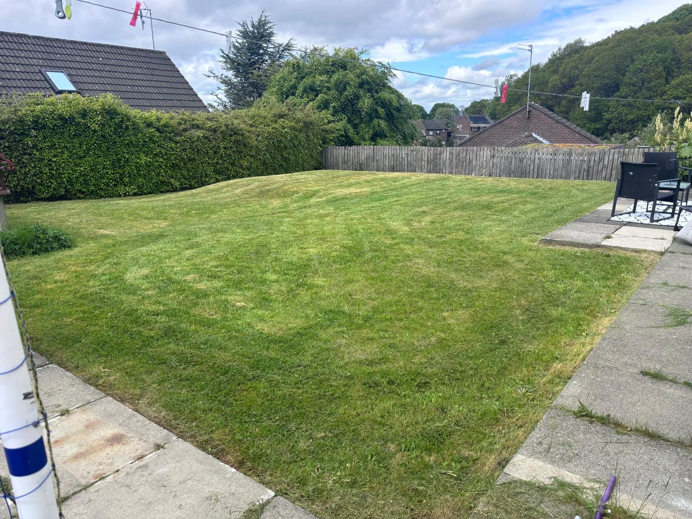 Freshly cut lawn with hedges and fencing